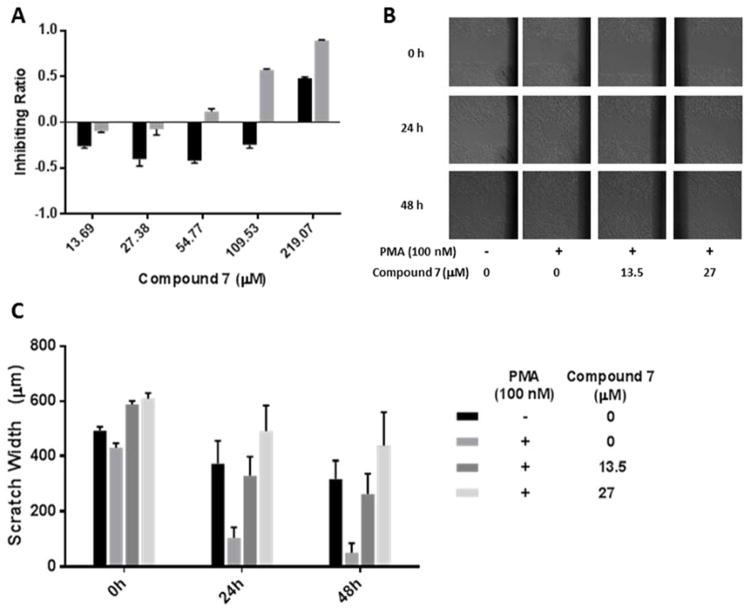 Figure 5