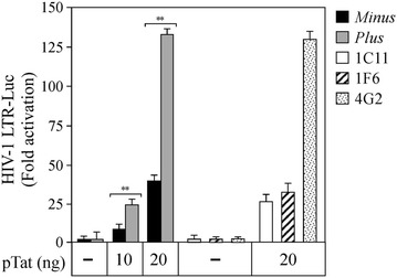 Fig. 3