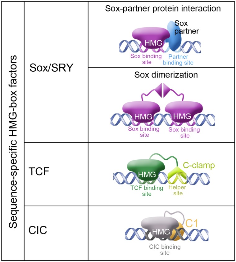 Fig 8