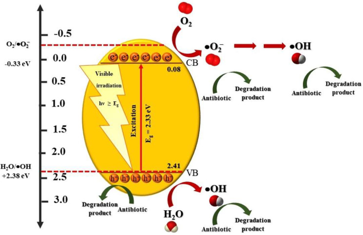 Figure 10