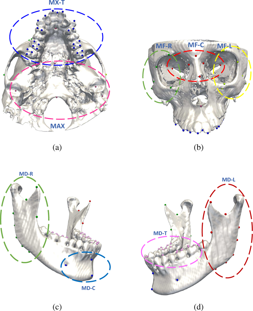 Fig. 4: