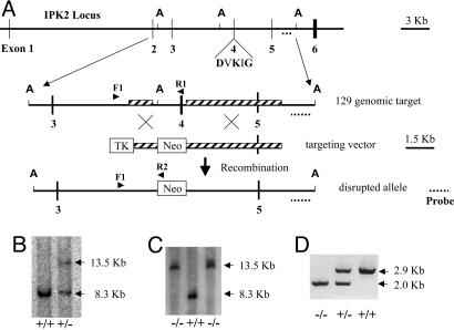 Fig. 2.