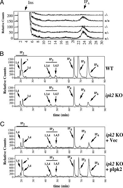 Fig. 4.