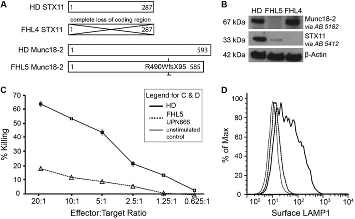 TRA-12337-FIG-0001-b