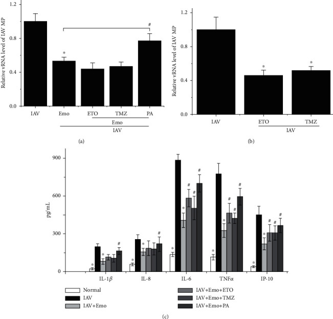 Figure 7