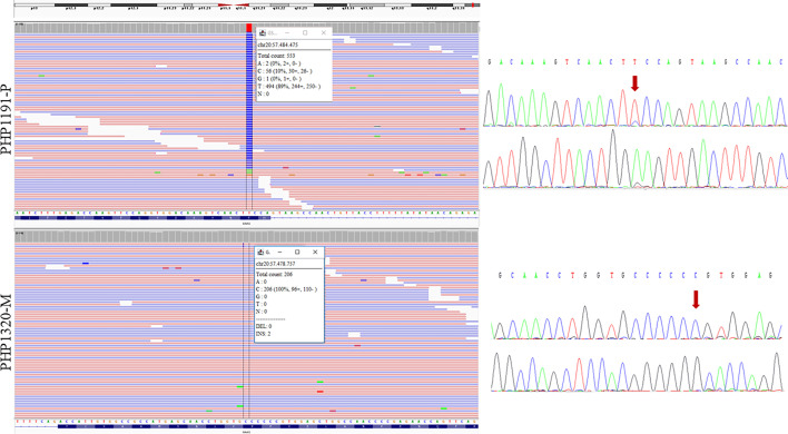 Figure 2