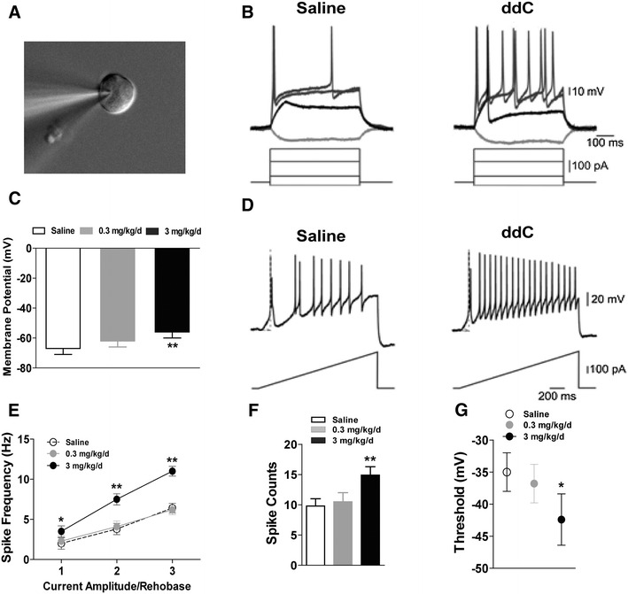 Fig. 2