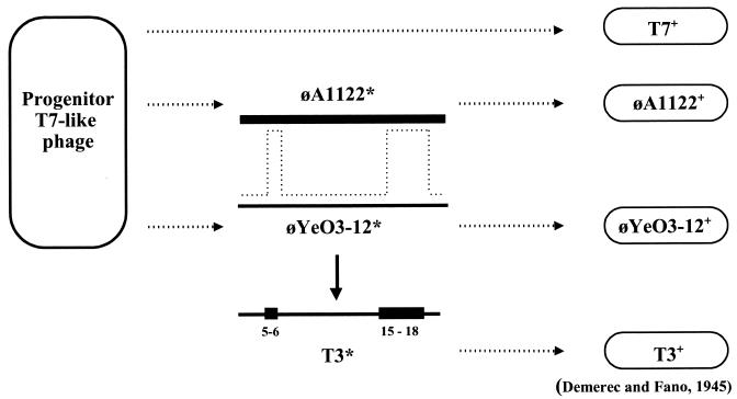 FIG. 4.