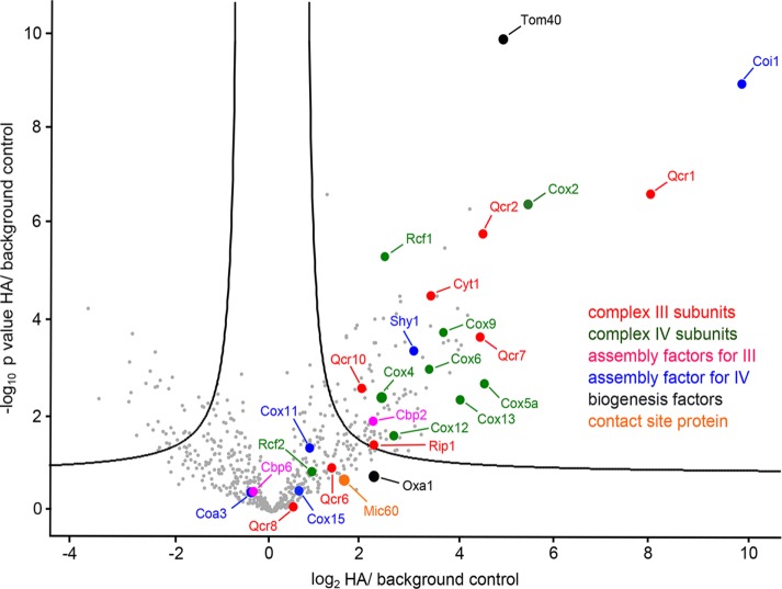 FIGURE 6: