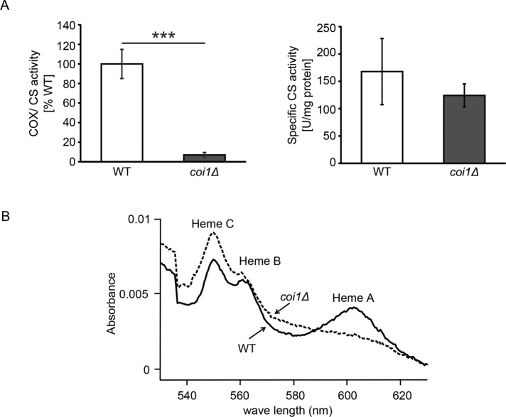 FIGURE 9: