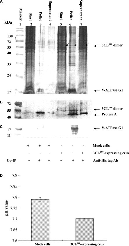 figure image