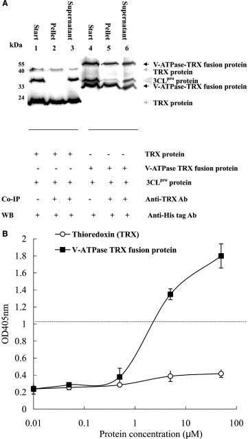 figure image