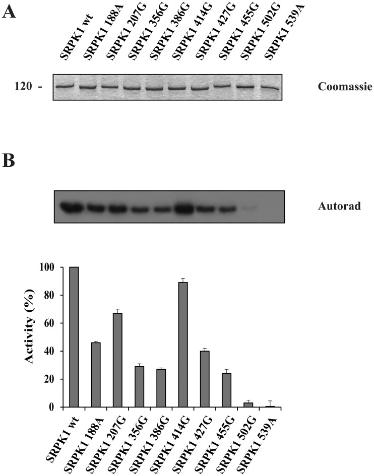 Fig 5