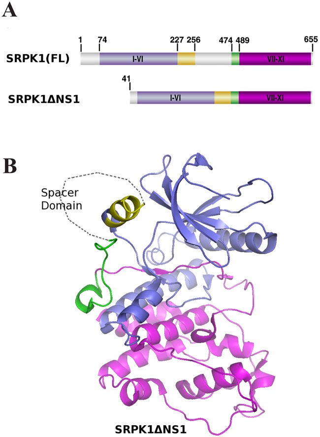 Fig 1