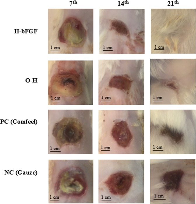 Figure 13