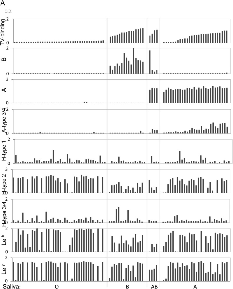 FIG 2