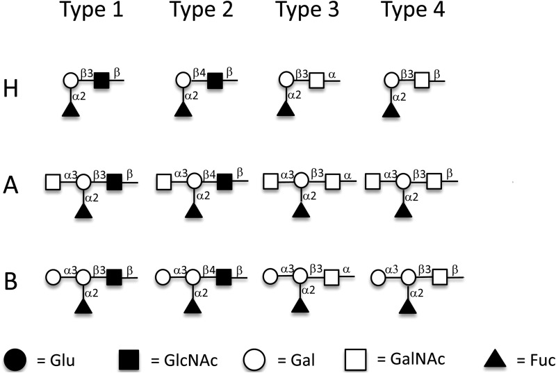 FIG 1