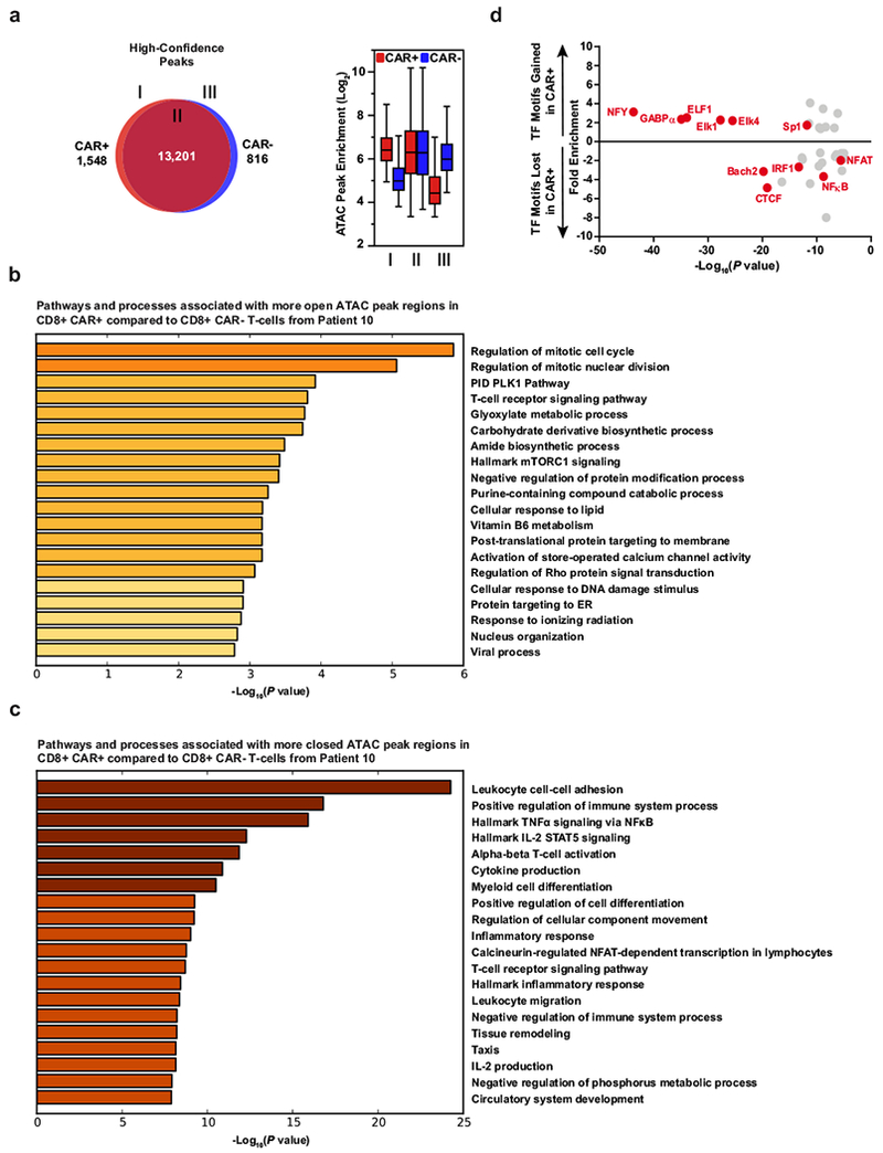 Extended Data Fig. 6 |