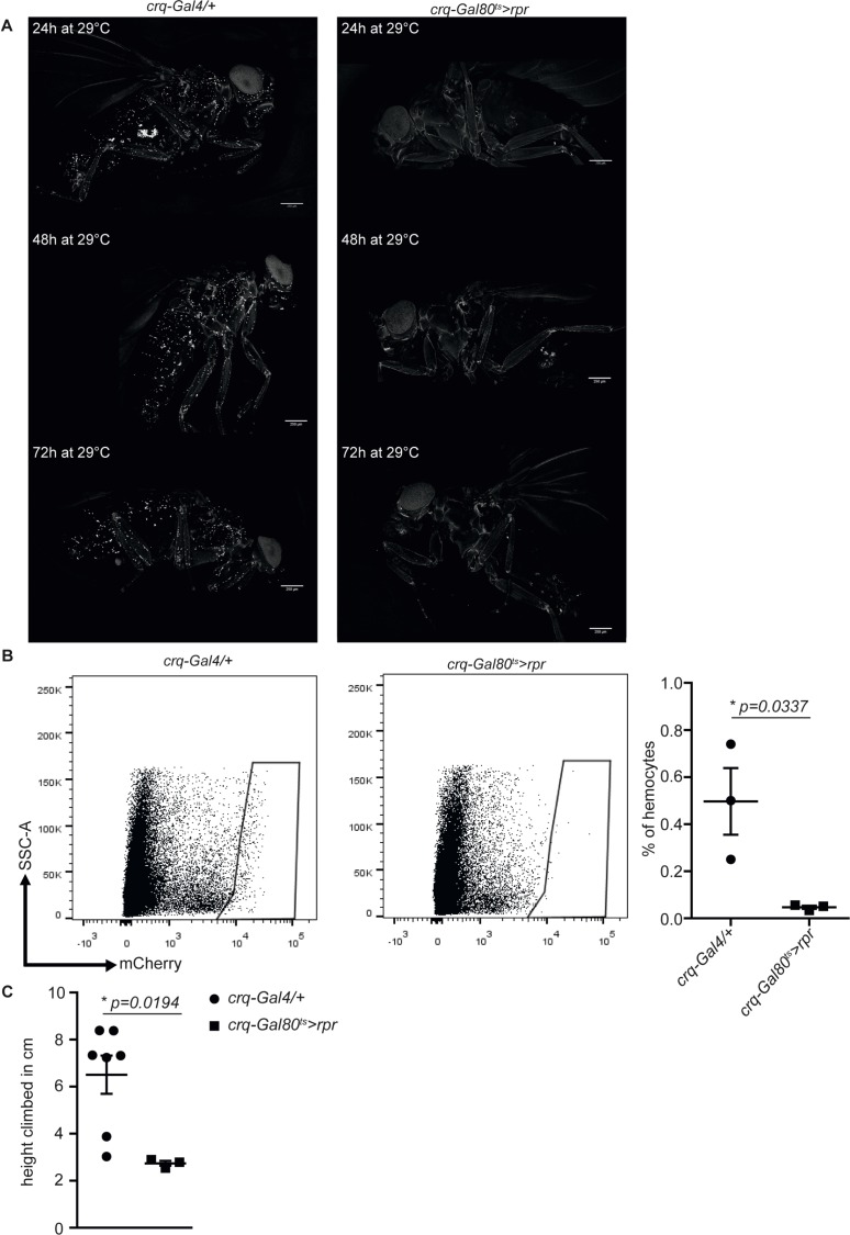 Figure 4—figure supplement 1.