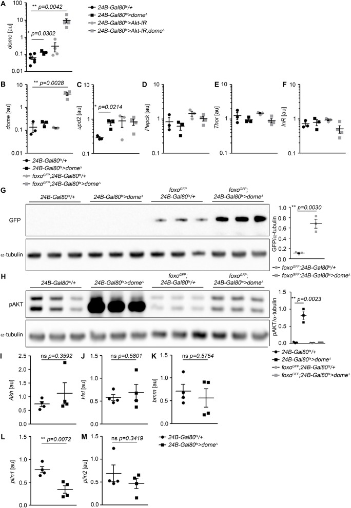 Figure 3—figure supplement 1.