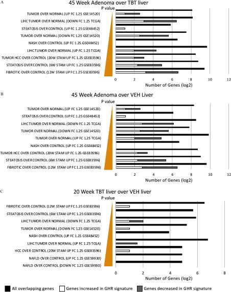 Figure 5A presents overrepresentation analyses for 45 week adenoma over TBT liver; Figure 5B, 45 week adenoma over VEH liver; and Figure 5C, 20 week TBT liver over VEH liver for all overlapping genes, genes increased in GHR signature, and genes decreased in GHR signature.