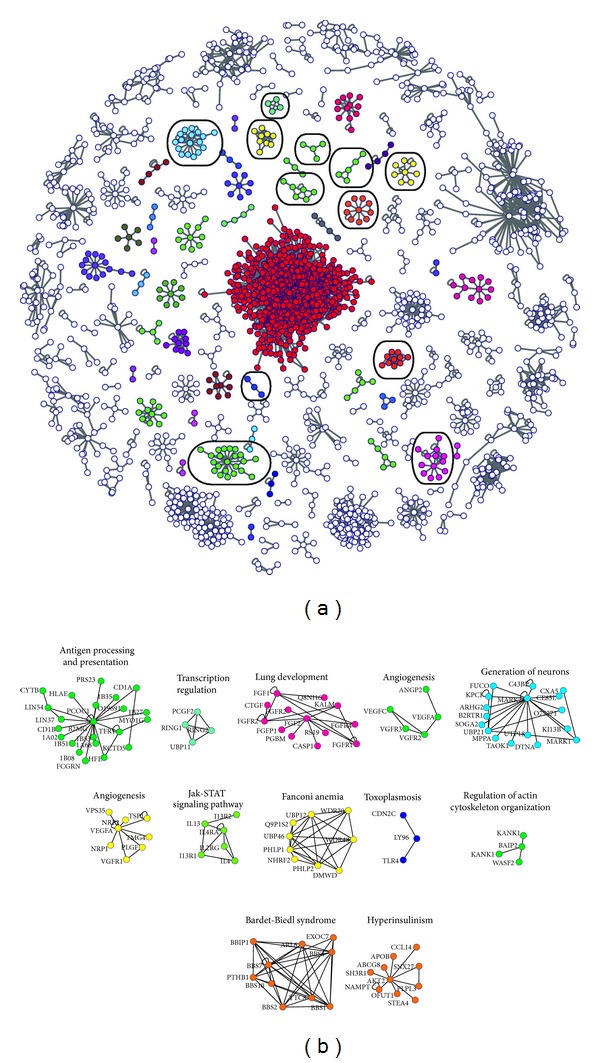 Figure 5