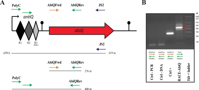 FIG 1