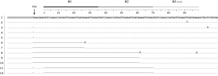 FIG 2