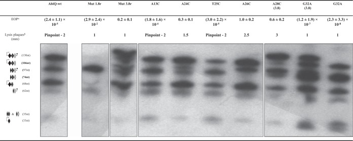 FIG 3