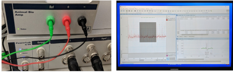 Figure 3: