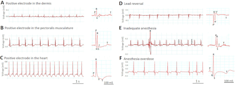 Figure 6: