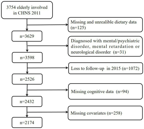 Flowchart detailing the selection process of elderly participants in the CHNS 2011 study. Starting with 3754 participants, 125 were excluded for missing dietary data, 31 for mental/psychiatric disorders, 1072 for follow-up loss, 94 for missing cognitive data, and 259 for missing covariates, resulting in a final sample of 2174 participants.