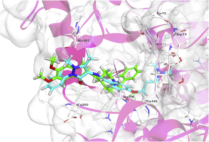 Fig. 10