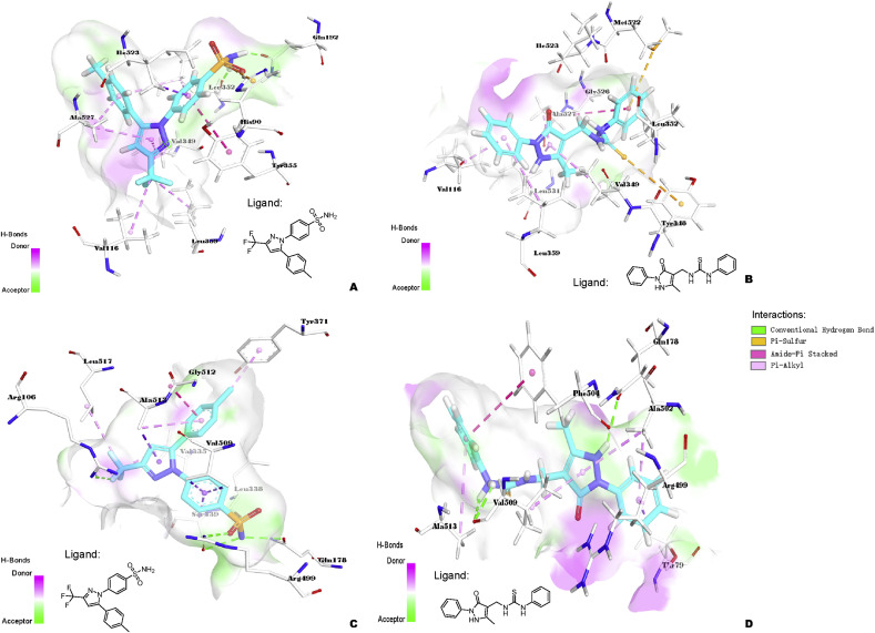 Fig. 12