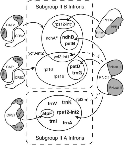 Figure 10.