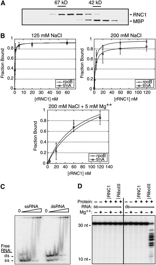 Figure 9.