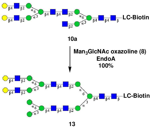 Scheme 3