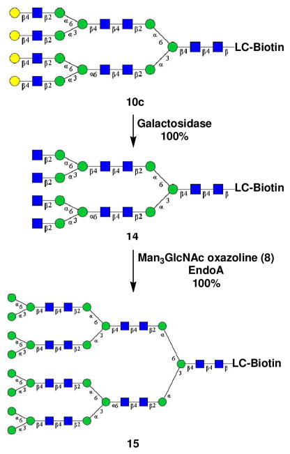 Scheme 4