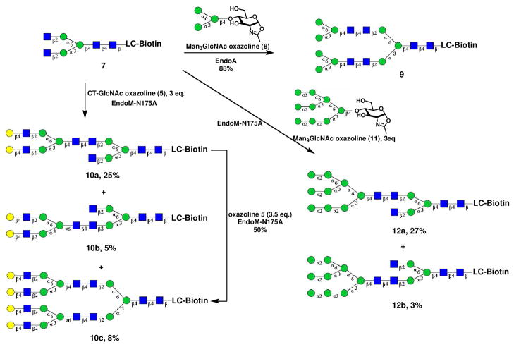 Scheme 2