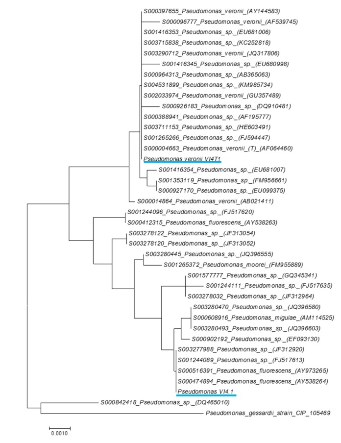 Figure 4