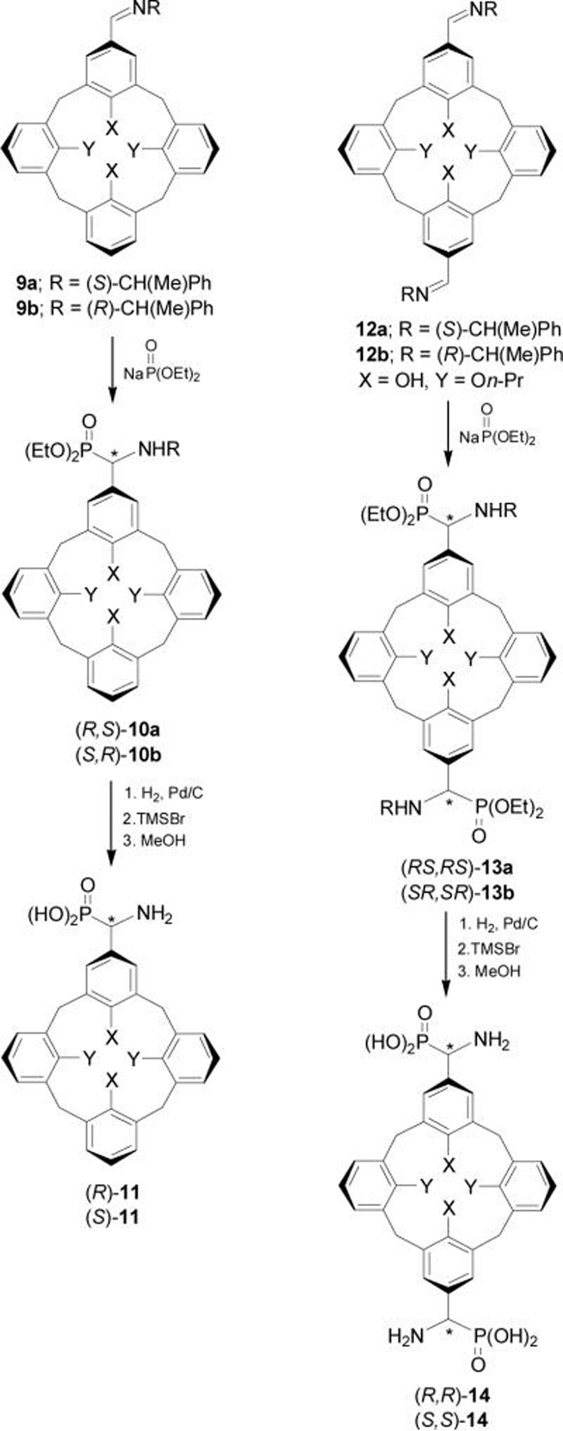 Scheme 4