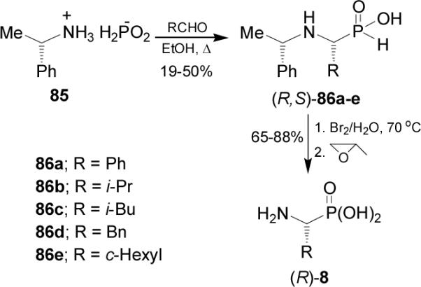 Scheme 22