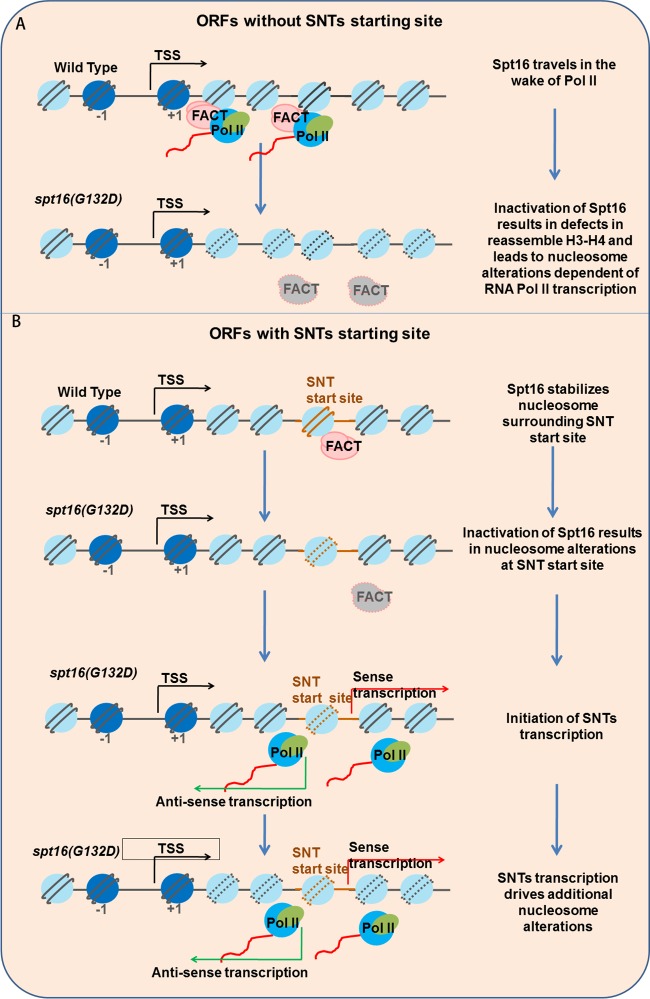 FIG 6