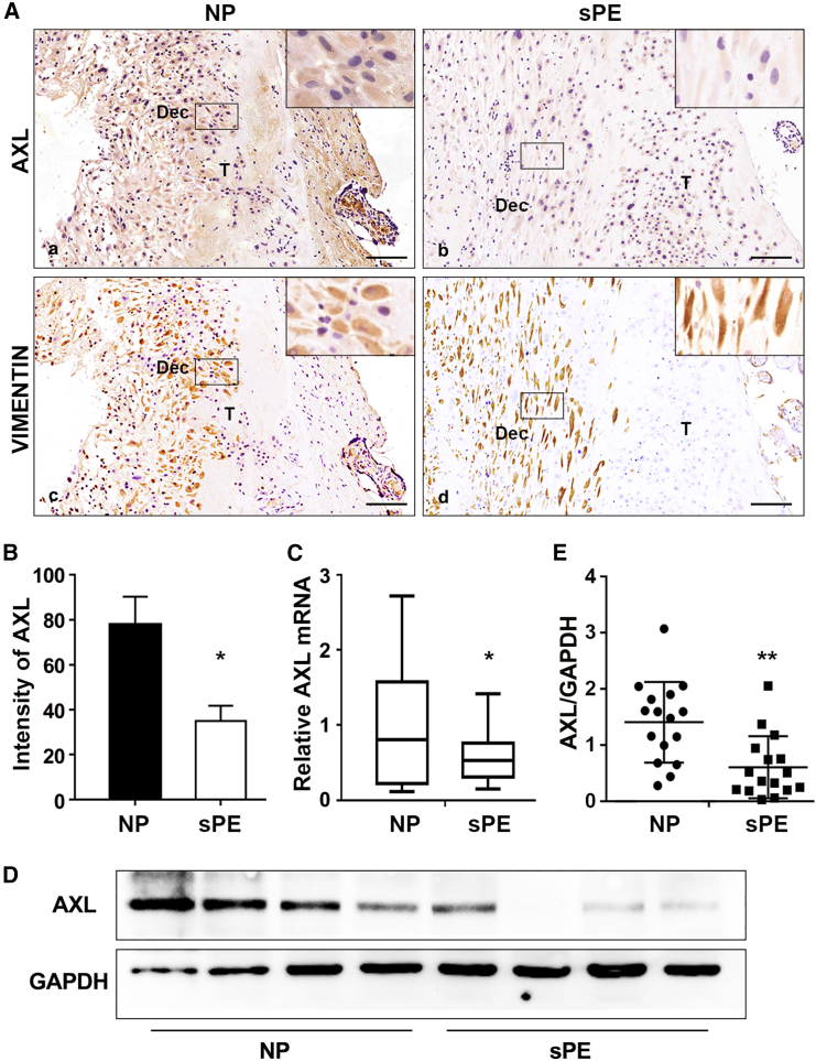 Figure 6