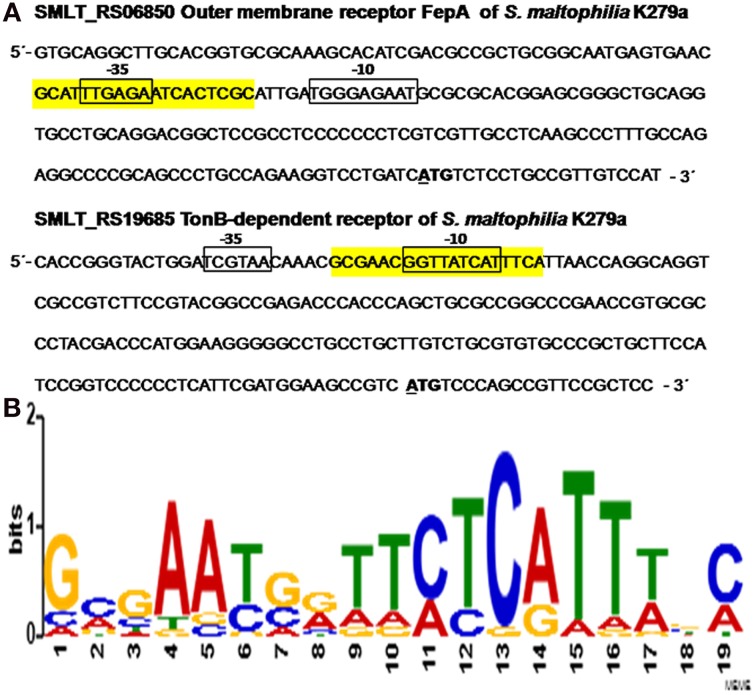 Figure 7