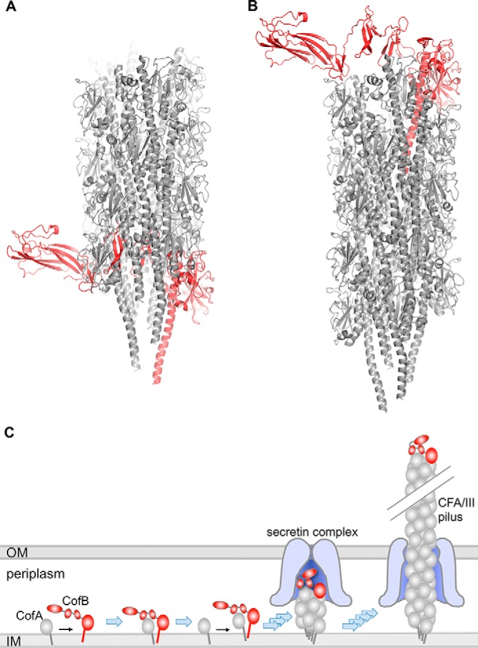 FIGURE 6.