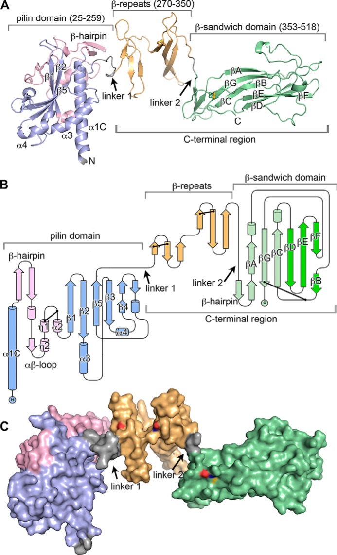 FIGURE 4.