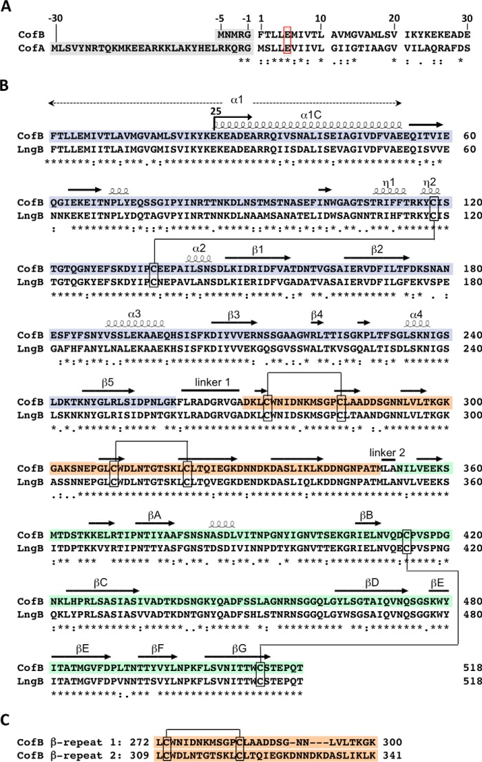 FIGURE 1.