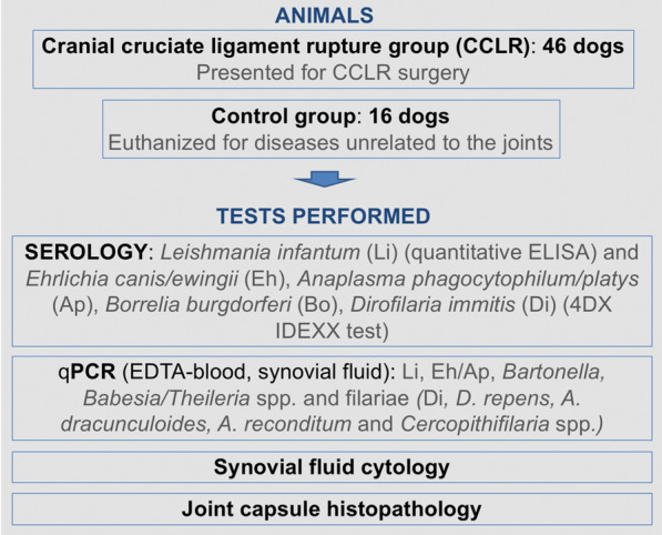 graphic file with name 13071_2022_5205_Figa_HTML.jpg