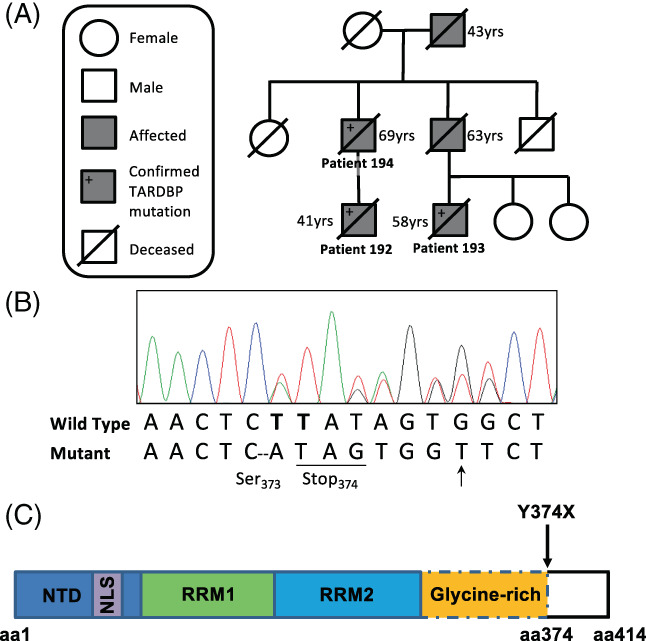 FIGURE 1